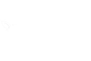 iRealty