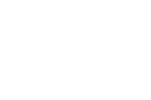 Realty Executives